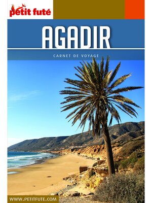 cover image of Agadir 2020 Carnet Petit Futé